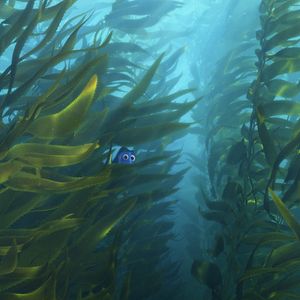 Foto Buscando a Dory