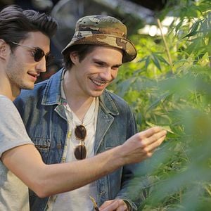 Foto François Civil