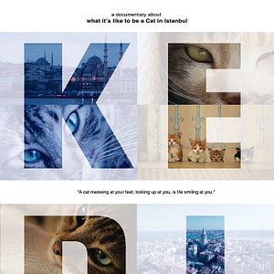 Foto Kedi (Gatos de Estambul)