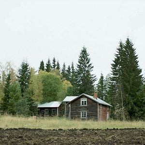 Foto Granny's Dancing on the Table