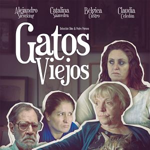 Foto Gatos Viejos