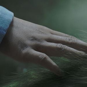 Foto Peter y el dragón