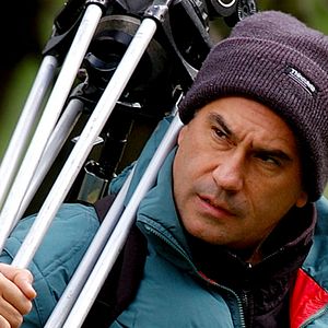 Foto Cantábrico: Los dominios del oso pardo