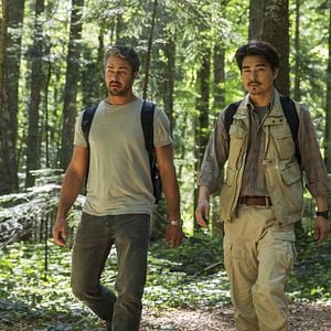 Foto El bosque de los suicidios