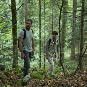 Foto El bosque de los suicidios