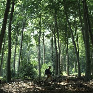 Foto Todos los caminos de Dios