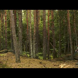 Foto Gérard Depardieu