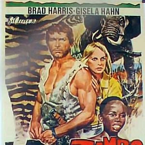 Foto Zambo, rey de la jungla