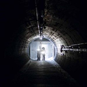 Foto Dos amantes y un oso