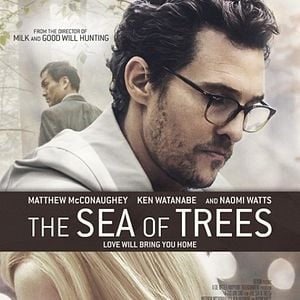 Foto El bosque de los sueños