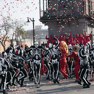 Foto Poesía Sin Fin