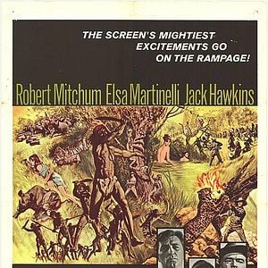 Foto Safari en Malasia