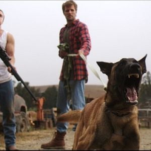 Foto The Wrong Side Of Right