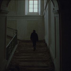 Foto Bella y perdida