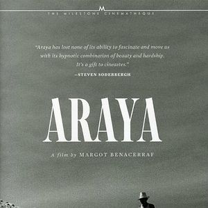 Foto Araya