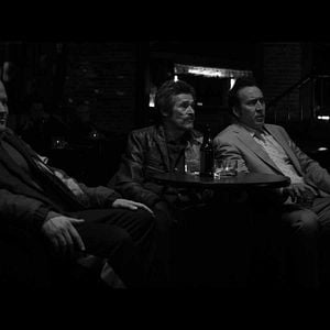 Foto Como perros salvajes