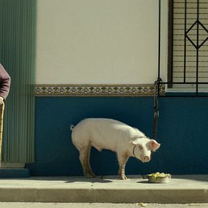 Pozoamargo - Película 2015