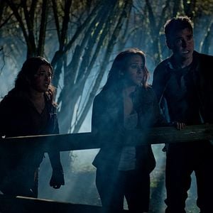 Foto Scarecrow, la maldición del espantapájaros