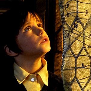 Foto El espíritu de la colmena