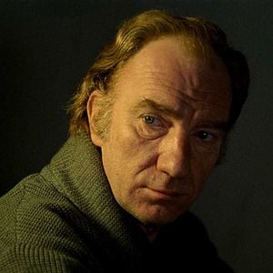 Foto El espíritu de la colmena