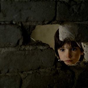 Foto El espíritu de la colmena