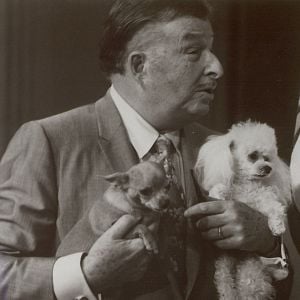 Foto Sexo, maracas y chihuahuas