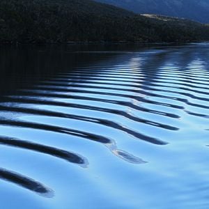 Foto El Botón de Nácar