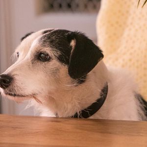 Foto Los asesinatos de Midsomer