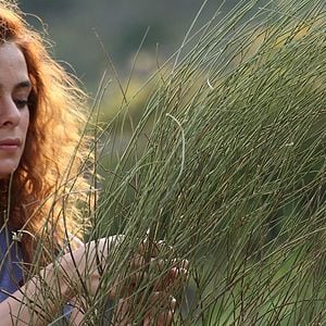 Foto Amor a segunda vista