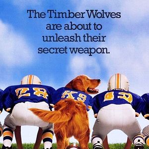 Foto Air Bud: El fichaje de la liga