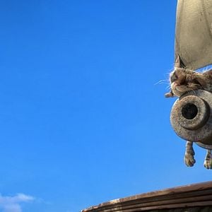 Foto Robinson, una aventura tropical