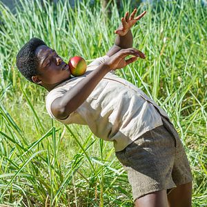 Foto Pelé, el nacimiento de una leyenda