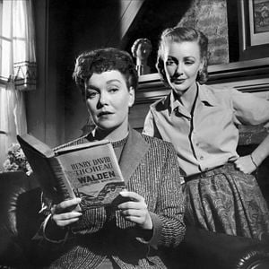 Foto Sólo el cielo lo sabe