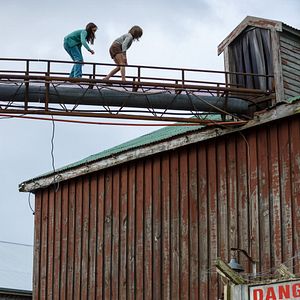 Foto Peter y el dragón