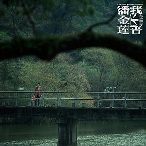 Foto Yo no soy Madame Bovary