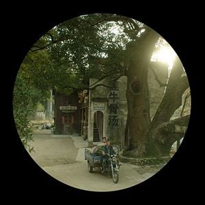 Foto Yo no soy Madame Bovary