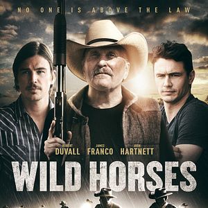 Foto Caballos salvajes