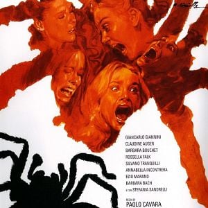 Foto La tarántula del vientre negro