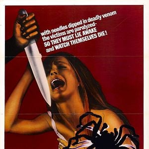 Foto La tarántula del vientre negro