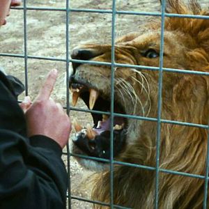 Foto Mister Universo