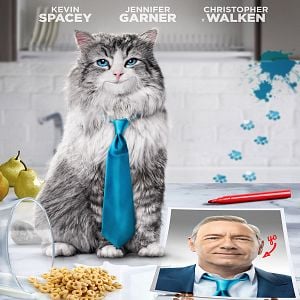 Foto Siete vidas, este gato es un peligro