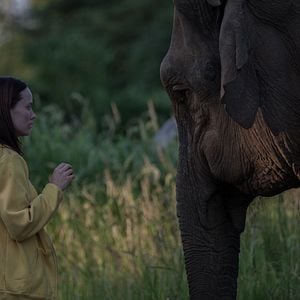 Foto Dentro del dolor