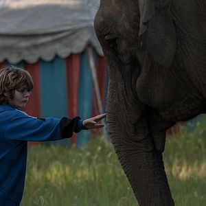 Foto Dentro del dolor