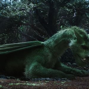 Foto Peter y el dragón