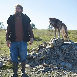 Foto Rester Vertical