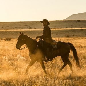 Foto Los siete magníficos