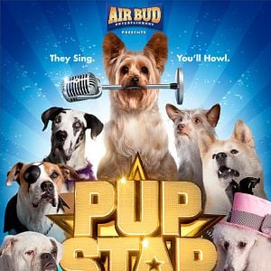 Foto Pup Star