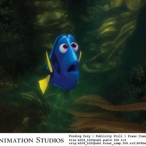 Foto Buscando a Dory