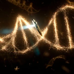 Foto Voyage of Time: Life's Journey