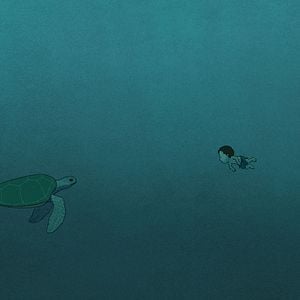 Foto La tortuga roja